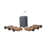 Laerdal Little Anne 6 stuks (donker)