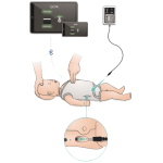 Laerdal Little Baby QCPR - Afbeelding 2